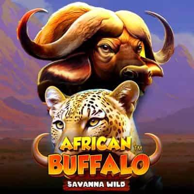 African Buffalo Savanna Wild