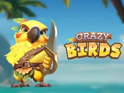 Crazy Birds