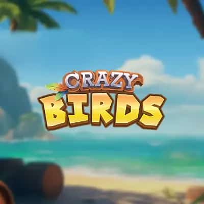 Crazy Birds
