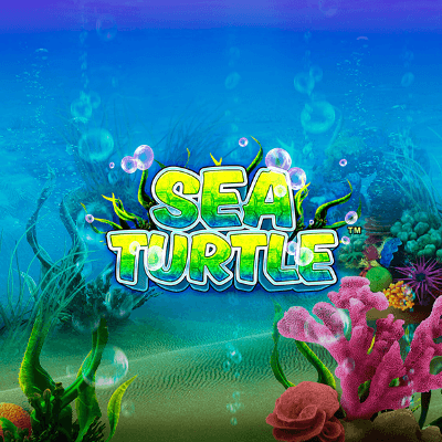 Sea Turtle
