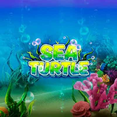 Sea Turtle