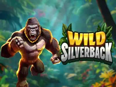 Wild Silverback