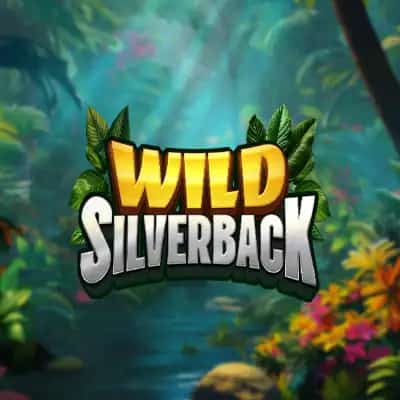 Wild Silverback