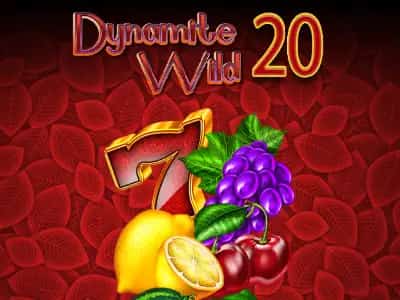 Dynamite Wild 20