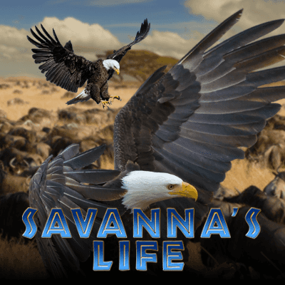 Savanna's Life