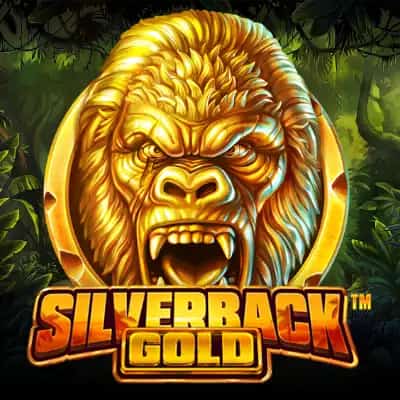 Silverback Gold No BF