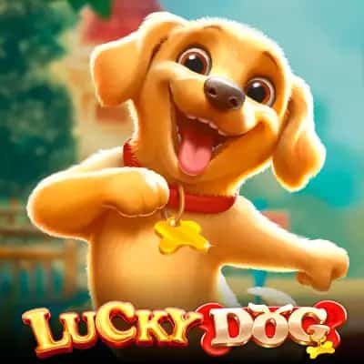 Lucky Dog