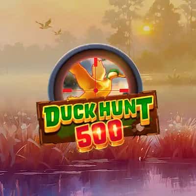 Duck Hunt 500