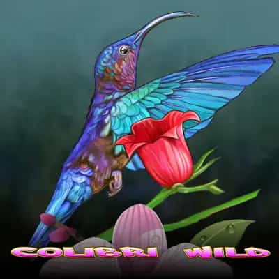 Colibri Wild