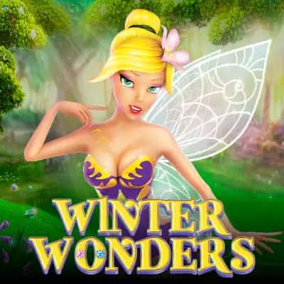 Winter Wonders