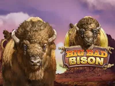Big Bad Bison