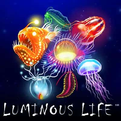 Luminous Life