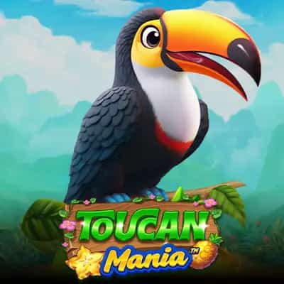 Toucan Mania