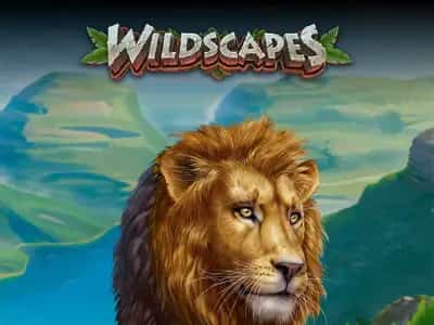 Wildscapes