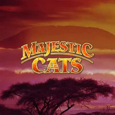 Majestic Cats