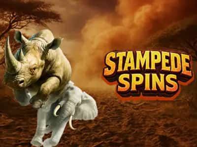 Stampede Spins