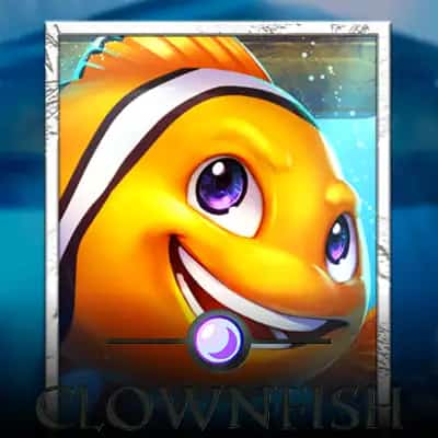 Clownfish
