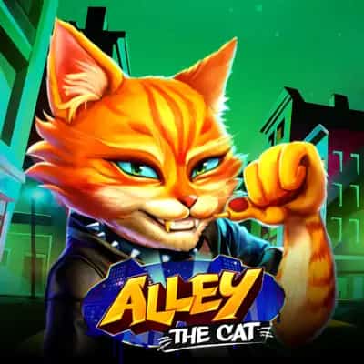 Alley the Cat