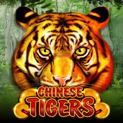 Chinese Tigers