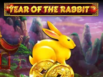 Year Of The Rabbit