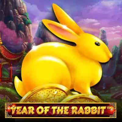 Year Of The Rabbit