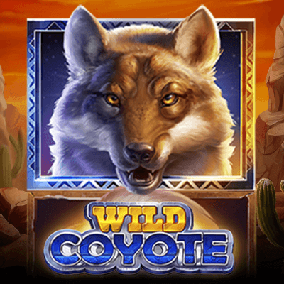 Wild Coyote