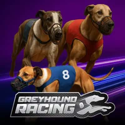 Virtual Greyhounds