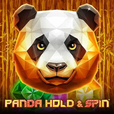Panda Hold And Spin