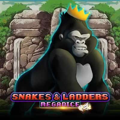 Snakes and Ladders Megadice