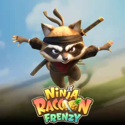 Ninja Raccoon Frenzy