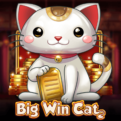Big Win Cat