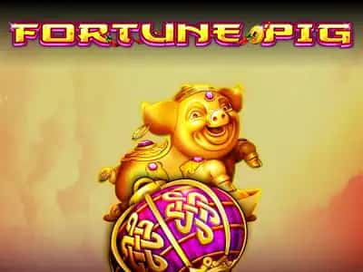 Fortune Pig