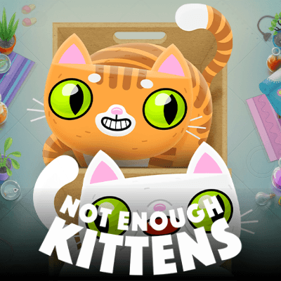 Not Enough Kittens