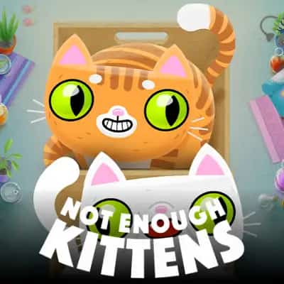 Not Enough Kittens