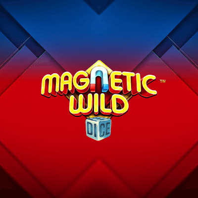 Magnetic Wild Dice
