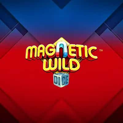 Magnetic Wild Dice
