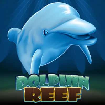 Dolphin Reef