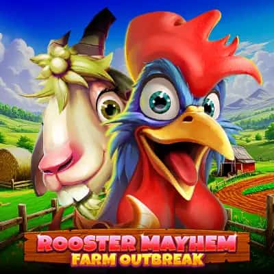 Rooster Mayhem Farm Outbreak
