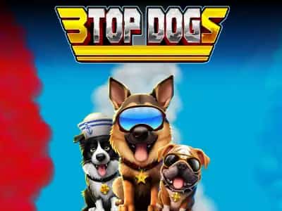 3 Top Dogs