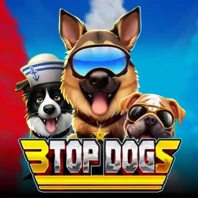3 Top Dogs