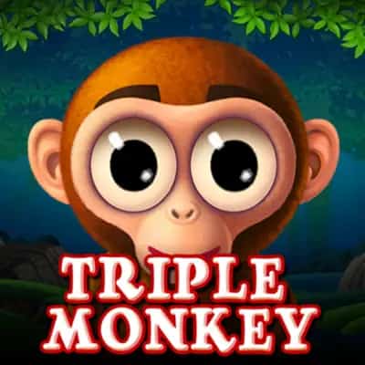 Triple Monkey