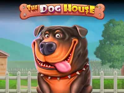 The Dog House