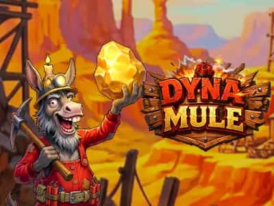 Dyna Mule