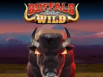 Buffalo Goes Wild
