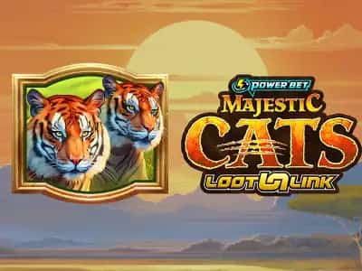 Majestic Claws - Wild Snow