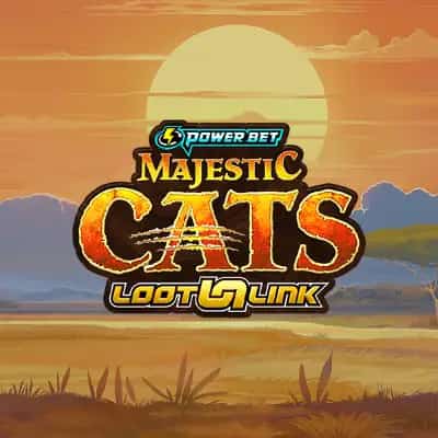 Majestic Claws - Wild Snow