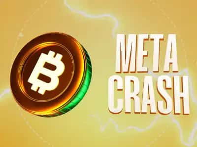 Meta Crash