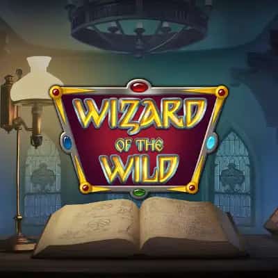 Wizard of the Wild