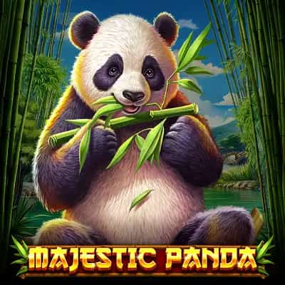 Majestic Panda