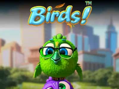 Birds!